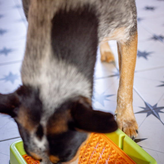 LickiMat® Indoor Keeper™